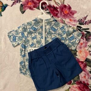 Land'n Sea Boys 2 Piece Outfit Set (Crab Print Shirt + Shorts) 2T